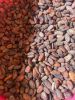 fermented-cocoa-beans-grade-a - ảnh nhỏ 4