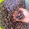 fermented-cocoa-beans-grade-a - ảnh nhỏ 5