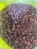 fermented-cocoa-beans-grade-a - ảnh nhỏ 6