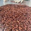 fermented-cocoa-nibs - ảnh nhỏ 3