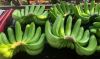 export-banana - ảnh nhỏ 10