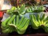 export-banana - ảnh nhỏ 11