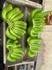 export-banana - ảnh nhỏ 6