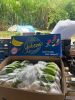export-banana - ảnh nhỏ 7