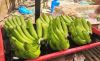 export-banana - ảnh nhỏ 9