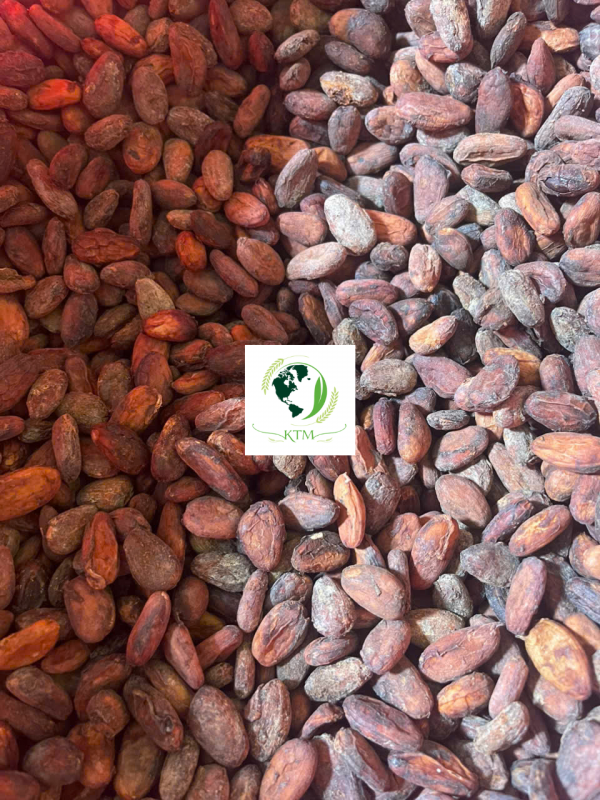 Single-Origin Bean-to-Bar Chocolate Making: Why Master Chocolatiers Choose Vietnamese Cacao