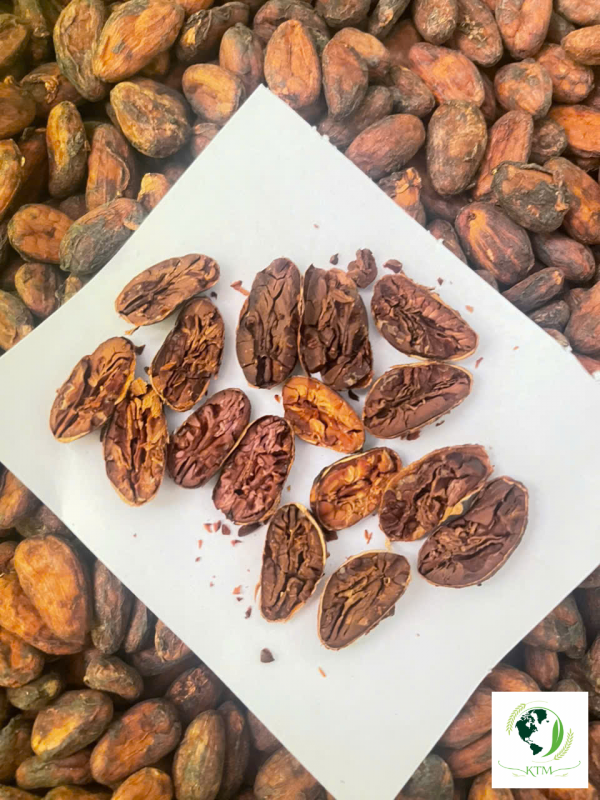 Pricing Structure of Fine-Flavor Cacao: Understanding Grade A+, Grade A, and Commercial Grade B