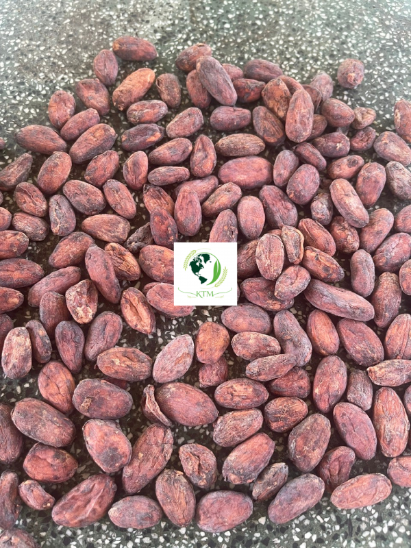 Why Leading Asian and European Chocolate Brands Trust Vietnamese Cocoa Suppliers