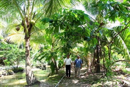 Agroforestry and Intercropping: How Vietnamese Farmers Grow High-Yield Sustainable Cacao